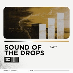Sound Of The Drops