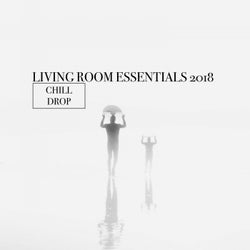 Living Room Essentials 2018