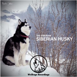 Siberian Husky Chart