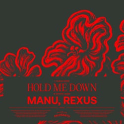 Hold Me Down