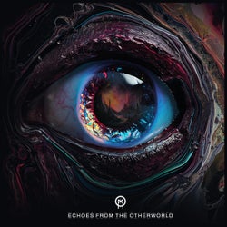 Echoes From The Otherworld
