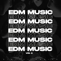 EDM MUSIC 2025 Vol 2