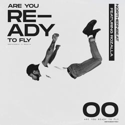 Are You Ready to Fly (feat. Rozalla)