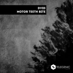 Motor Teeth Bite