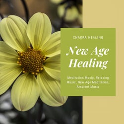 New Age Healing (Chakra Healing, Meditation Music, Relaxing Music, New Age Meditation, Ambient Music)