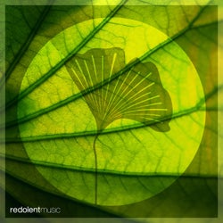 Teardrop
