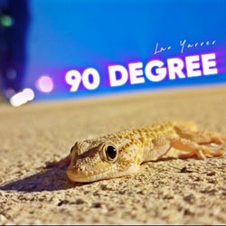90 Degree