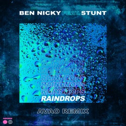 Raindrops (Avao Extended Remix)