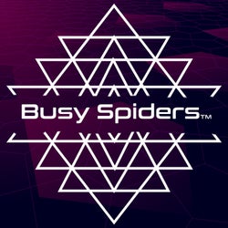 Busy Spiders