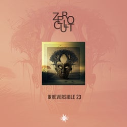 Irreversible 23