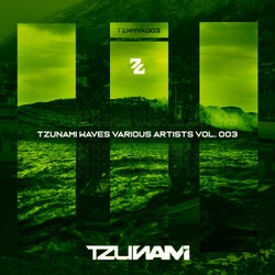 Tzunami Waves, Various Artists, Vol .3 (Various Artists)