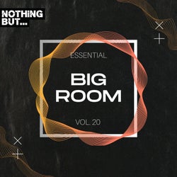 Nothing But... Essential Big Room, Vol. 20
