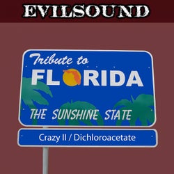 Tribute To Florida