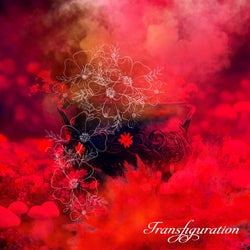 Transfiguration