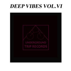 Deep Vibes Vol.VI