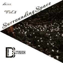 Surrounding Space, Vol. 5