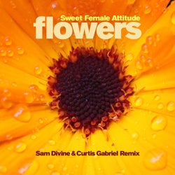 Flowers (Sam Divine & Curtis Gabriel Radio Edit)