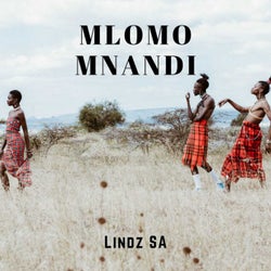 Mlomo Mnandi