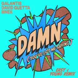 Damn (You've Got Me Saying) [East & Young Extended Mix]