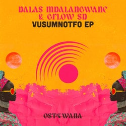 VusuMnotfo EP
