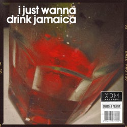 i just wanna drink jamaica