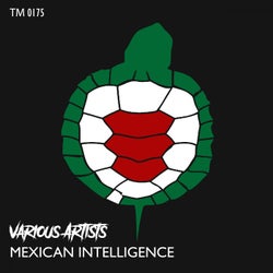 Mexican Intelligence