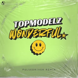 Wonderful (Pulsedriver Extended Remix)