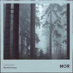 Numinous