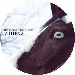 Bosconi Stallions - Athena