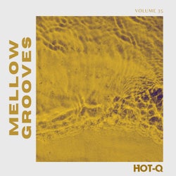 Mellow Grooves 035