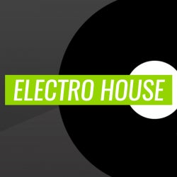 Year In Review: Electro House