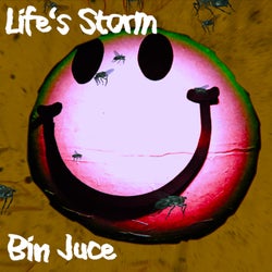 Life's Storm (Radio Edit)