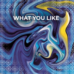What You Like (Extended Mix)