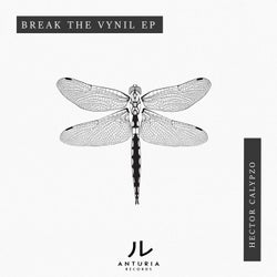 Break The Vynil EP