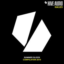 Hive Audio - Summer Slices 2019