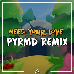 Need Your Love (Remix)