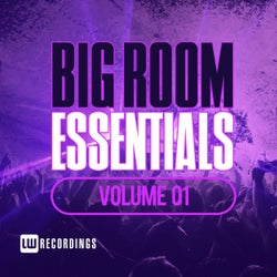 Big Room Essentials, Vol. 01