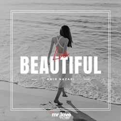 Beautiful Lie