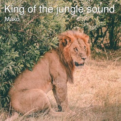 King of the Jungle Sound
