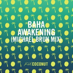 Awakening (Michael Brun Mix)