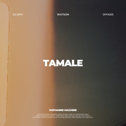 Tamale