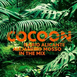 COCOON IBIZA- MIXED BY ILARIO ALICANTE (DJ MIX) & ALEJANDRO MOSSO (LIVE)