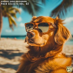 Pack Selects, Vol. 02