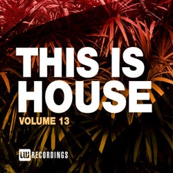 This Is House, Vol. 13