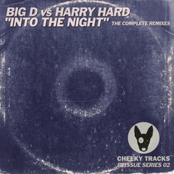 Into The Night (The Complete Remixes)