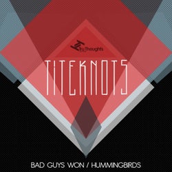 Bad Guys Won / Hummingbirds