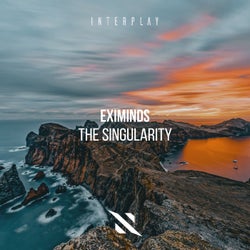The Singularity