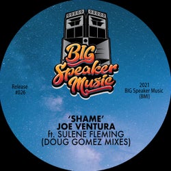 Shame (Doug Gomez Remixes)
