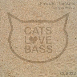 Paws In The Sand