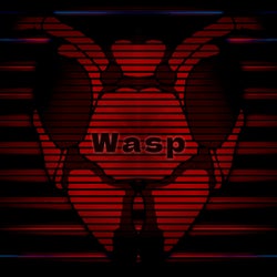 Wasp